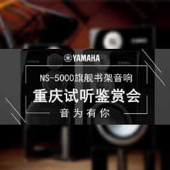 鉴赏会:恩佐Hi-end旗舰书架音箱NS-5000重庆利声音响鉴赏会